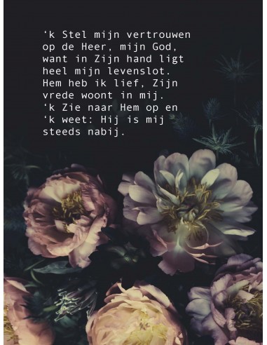 Poster stel mijn vertrouwen