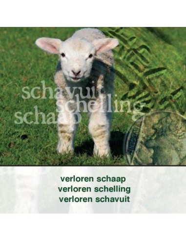 Verloren schaap schelling schavuit