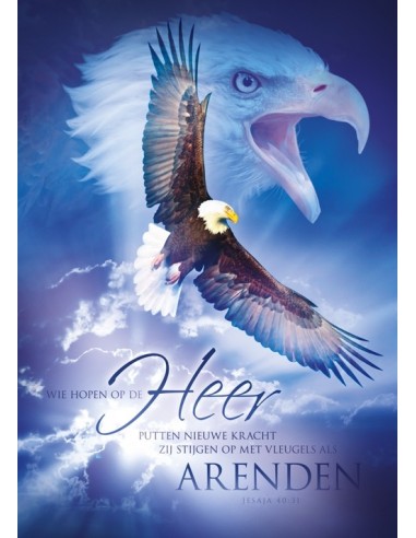 Poster A3 Eagles