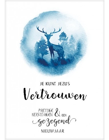 Kerstkaart je kunt Jezus vertrouwen