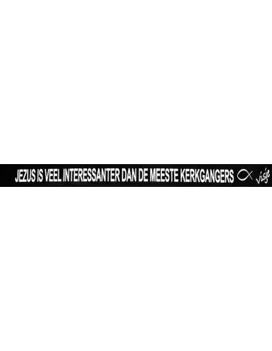 Sticker visje Jezus is veel interessante