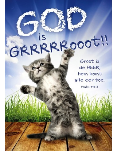 Poster 50x70 God is groot