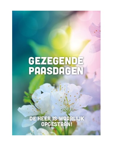 Gezegende paasdagen fleurig