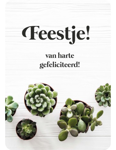 Minikaart feestje van harte gefeliciteer