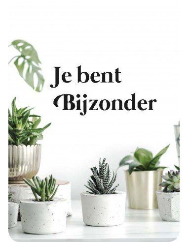 Minikaart je bent bijzonder