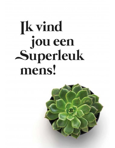 Minikaart super leuk mens