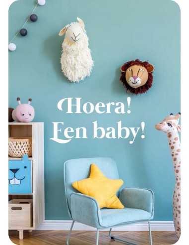 Minikaart hoera een baby