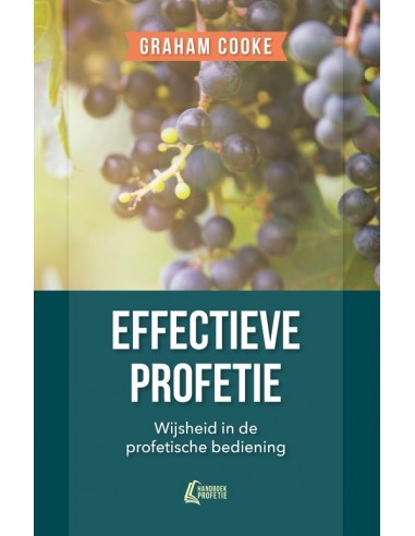 Effectieve profetie