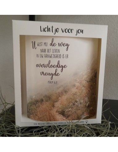 Lichtje voor jou: U wijst mij de weg